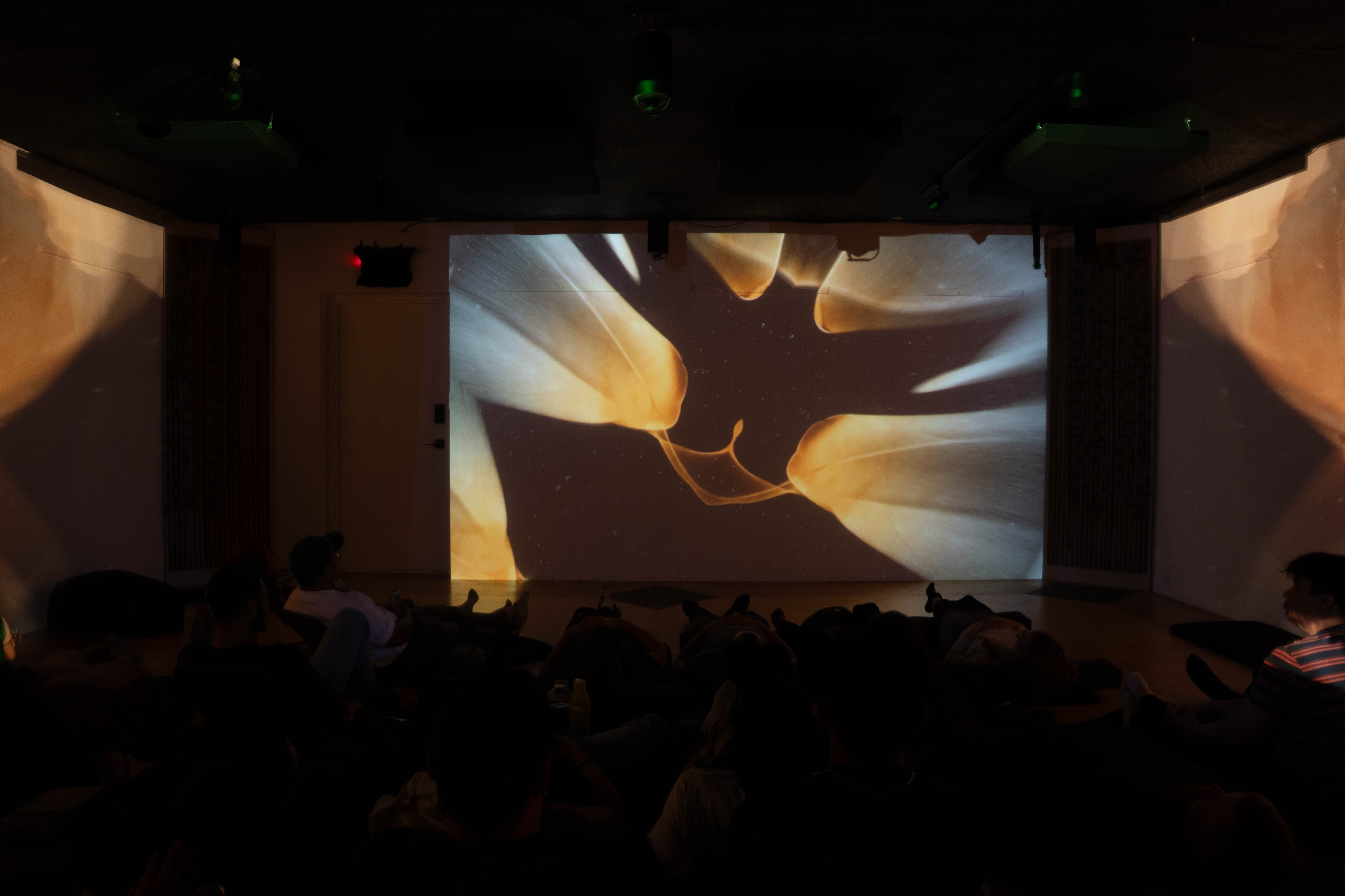 DEPTHS installation